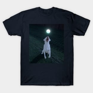 Dog playing glow ball T-Shirt